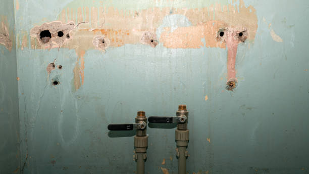 Best Water damage restoration mold remediation  in Gilbertsville, PA