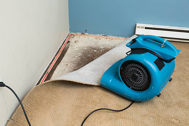 Best Ceiling water damage repair  in Gilbertsville, PA